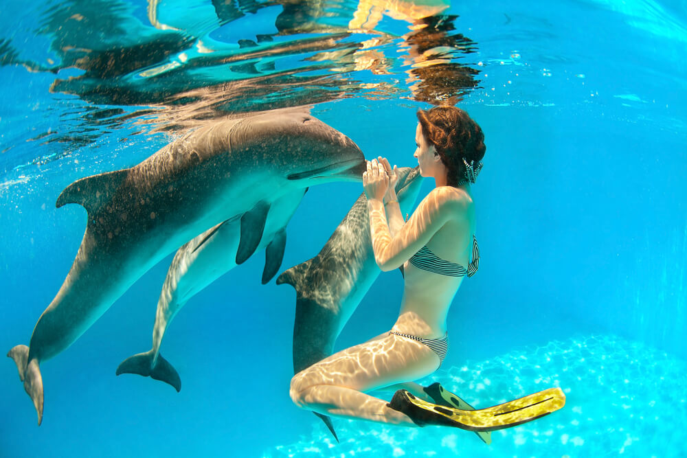 A woman swimming with dolphins in Panama City Beach.
